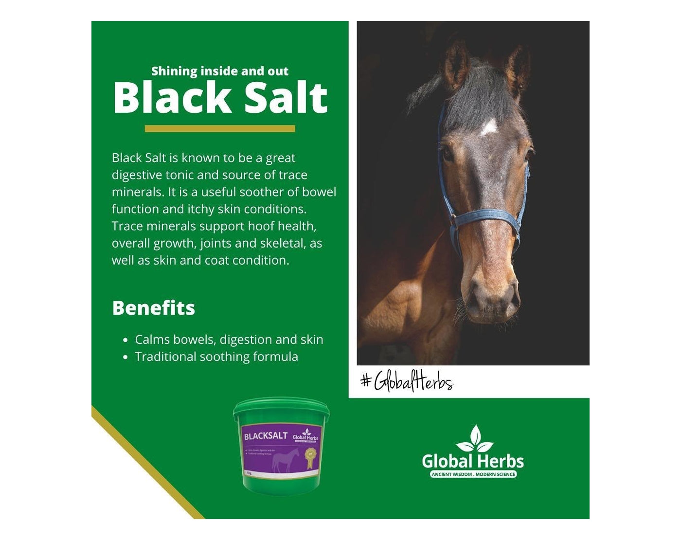 Global Herbs - Blacksalt | Horse Care Supplement - Buy Online SPR Centre UK