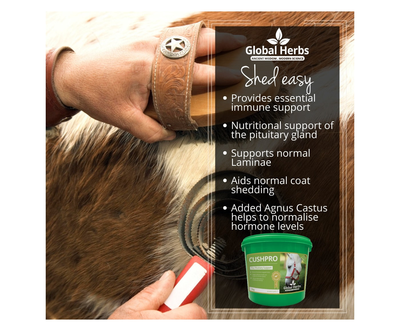 Global Herbs - CushPro 1kg | Horse Care - Buy Online SPR Centre UK