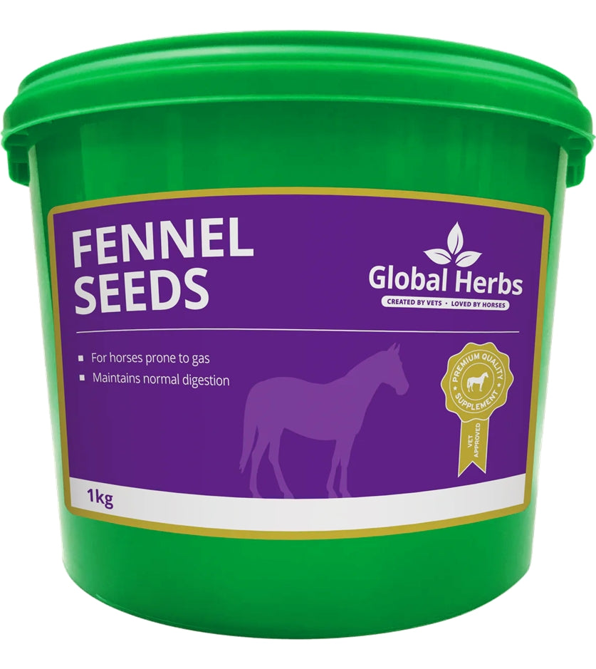 Global Herbs Fennel Seeds | Horse Care - Buy Online SPR Centre UK