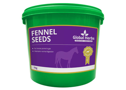 Global Herbs Fennel Seeds | Horse Care - Buy Online SPR Centre UK