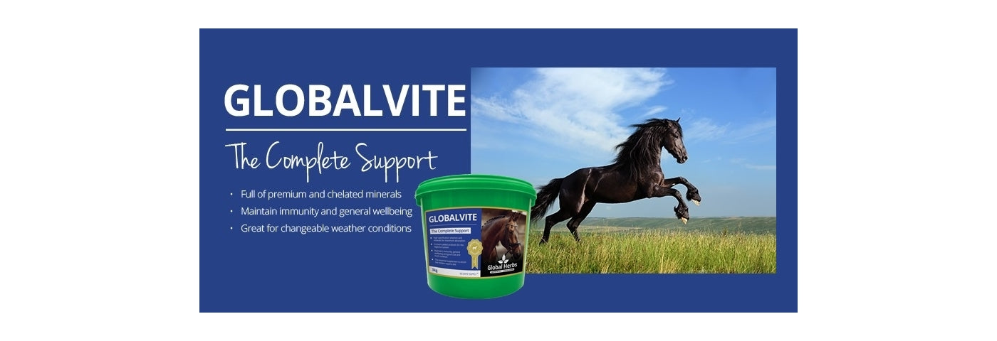 Global Herbs - GlobalVite 3kg | Horse Care - Buy Online SPR Centre UK