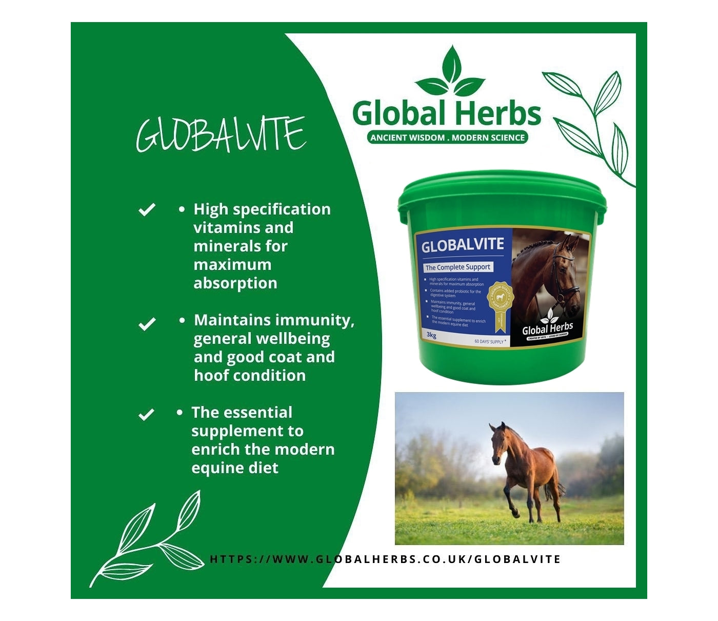 Global Herbs - GlobalVite 3kg | Horse Care - Buy Online SPR Centre UK