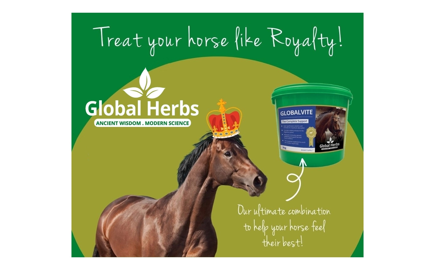 Global Herbs - GlobalVite 3kg | Horse Care - Buy Online SPR Centre UK