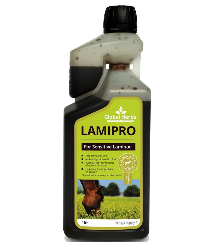 Global Herbs - LamiPro Liquid | Horse Care Supplement - Buy Online SPR Centre UK