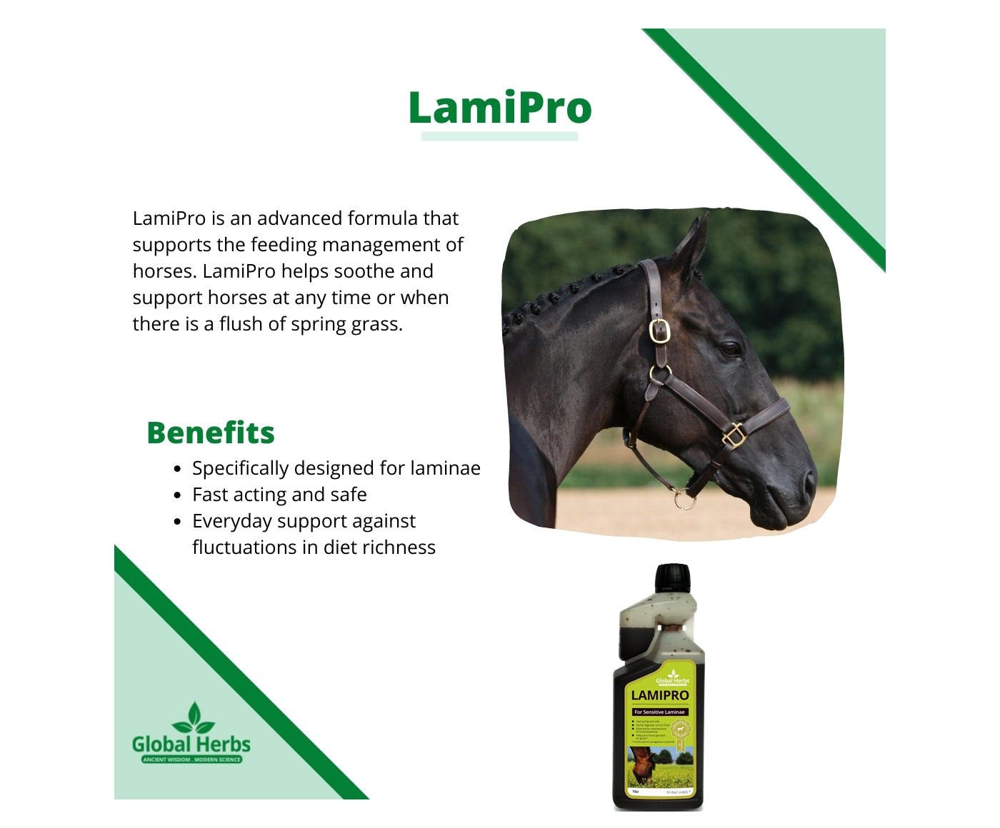 Global Herbs - LamiPro Liquid | Horse Care Supplement - Buy Online SPR Centre UK