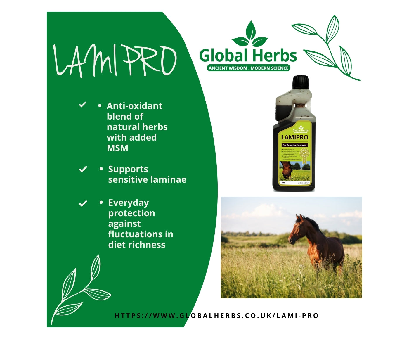 Global Herbs - LamiPro Liquid | Horse Care Supplement - Buy Online SPR Centre UK