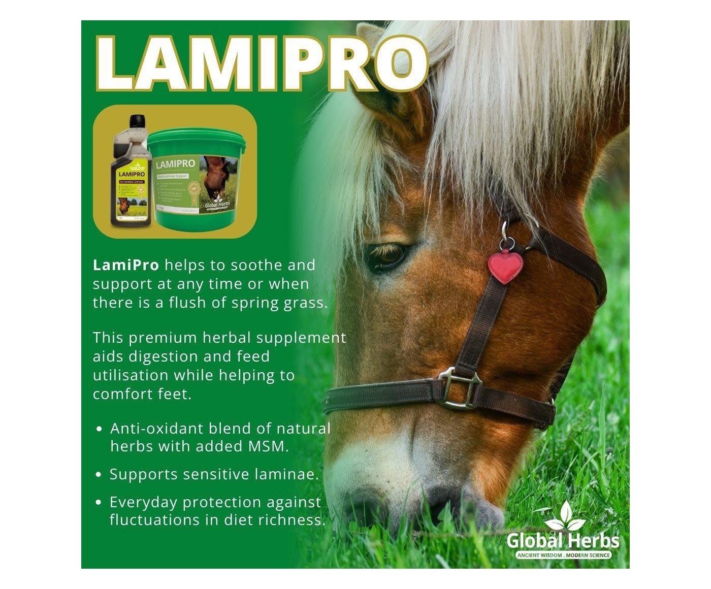 Global Herbs - LamiPro | Horse Care Supplement - Buy Onine SPR Centre UK