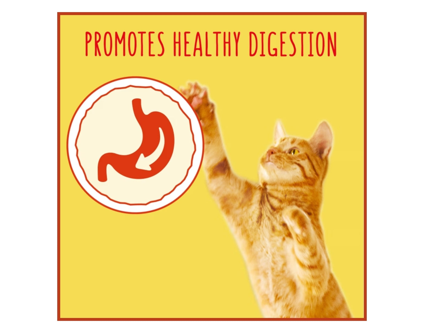 Go-Cat - Herring with Vegetables Dry Cat Food - 2kg