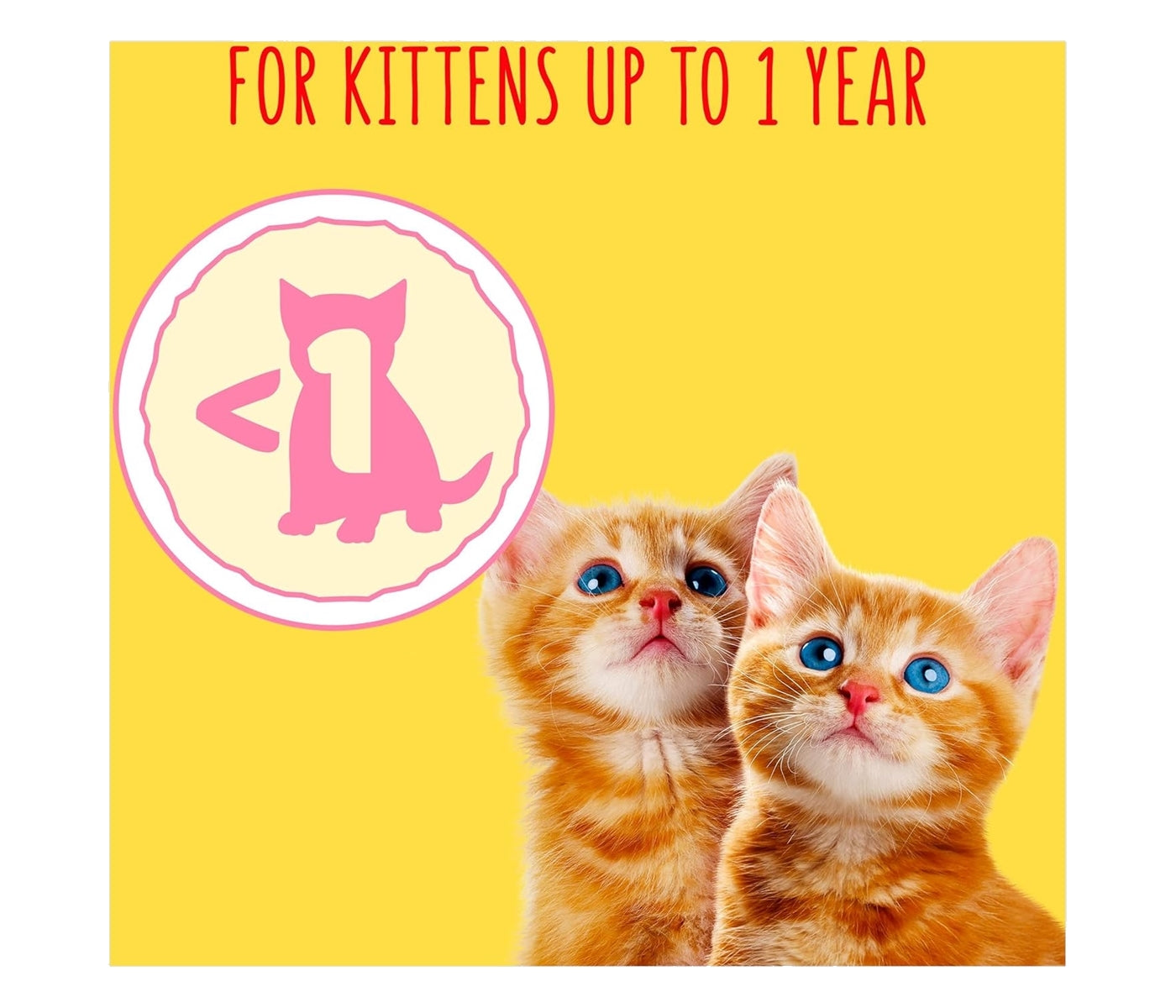 Go-Cat - Kitten Dry Food (Chicken & Turkey) - Buy Online SPR Centre UK