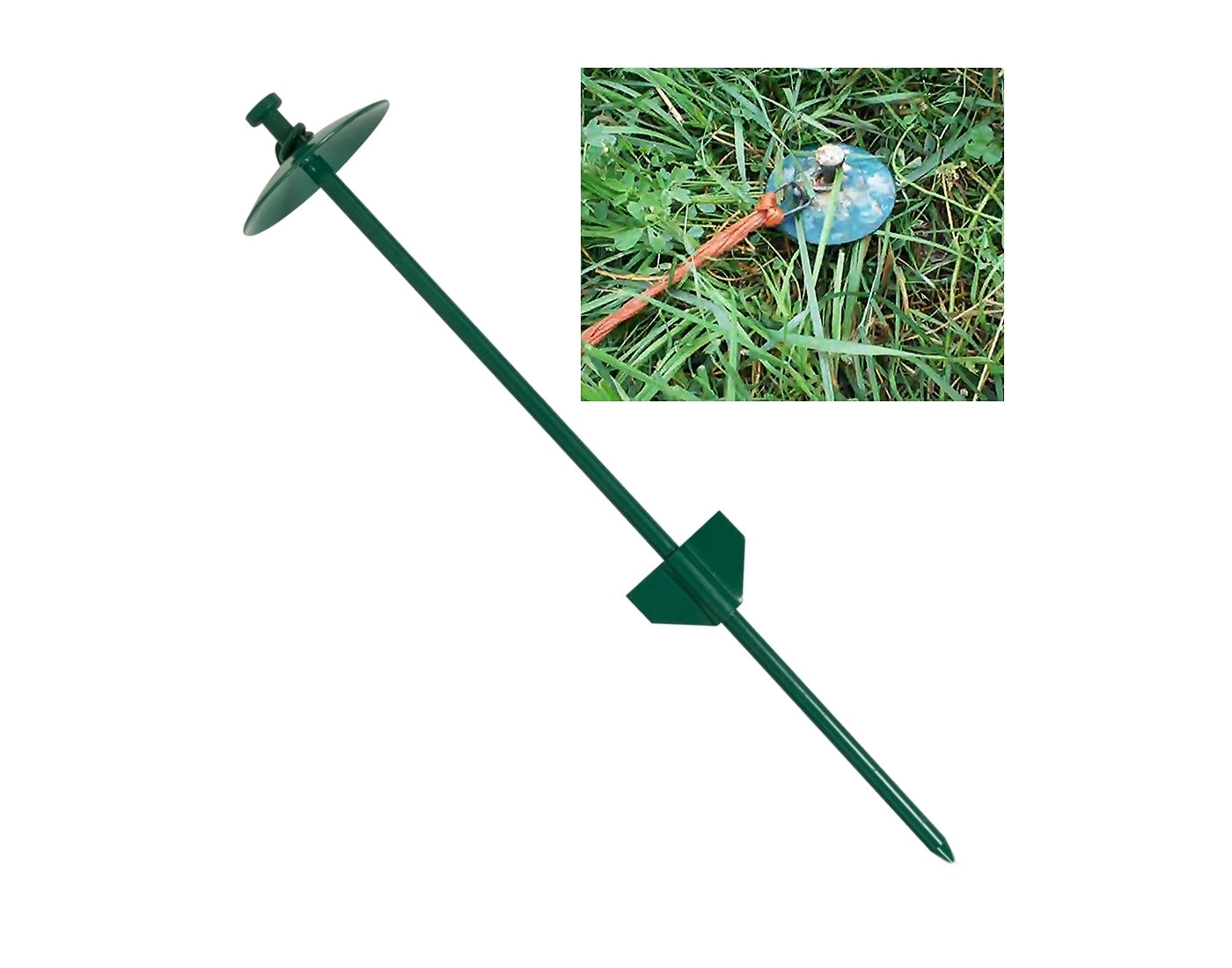Goat Tethering Stake (50cm) - Buy Online SPR Centre UK
