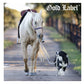 Gold Label Glucosamine Liquid | Joint Care for Horses & Dogs - Buy Online SPR Centre UK