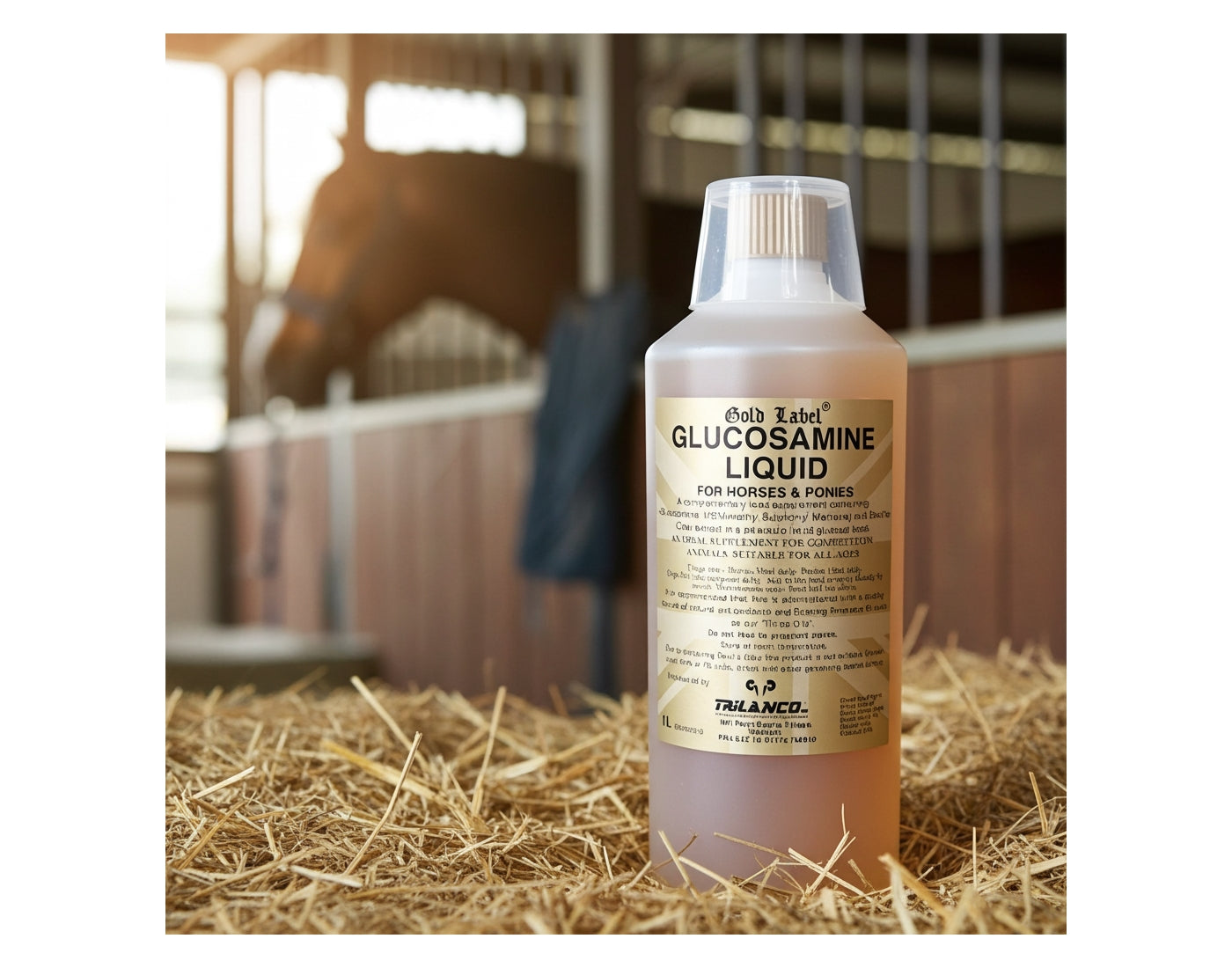 Gold Label Glucosamine Liquid | Joint Care for Horses & Dogs - Buy Online SPR Centre UK