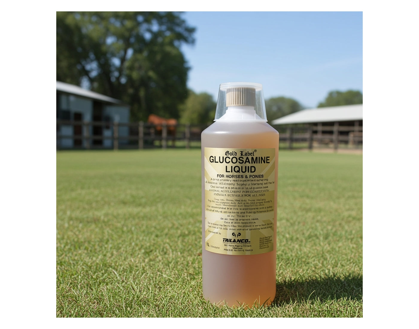Gold Label Glucosamine Liquid | Joint Care for Horses & Dogs - Buy Online SPR Centre UK