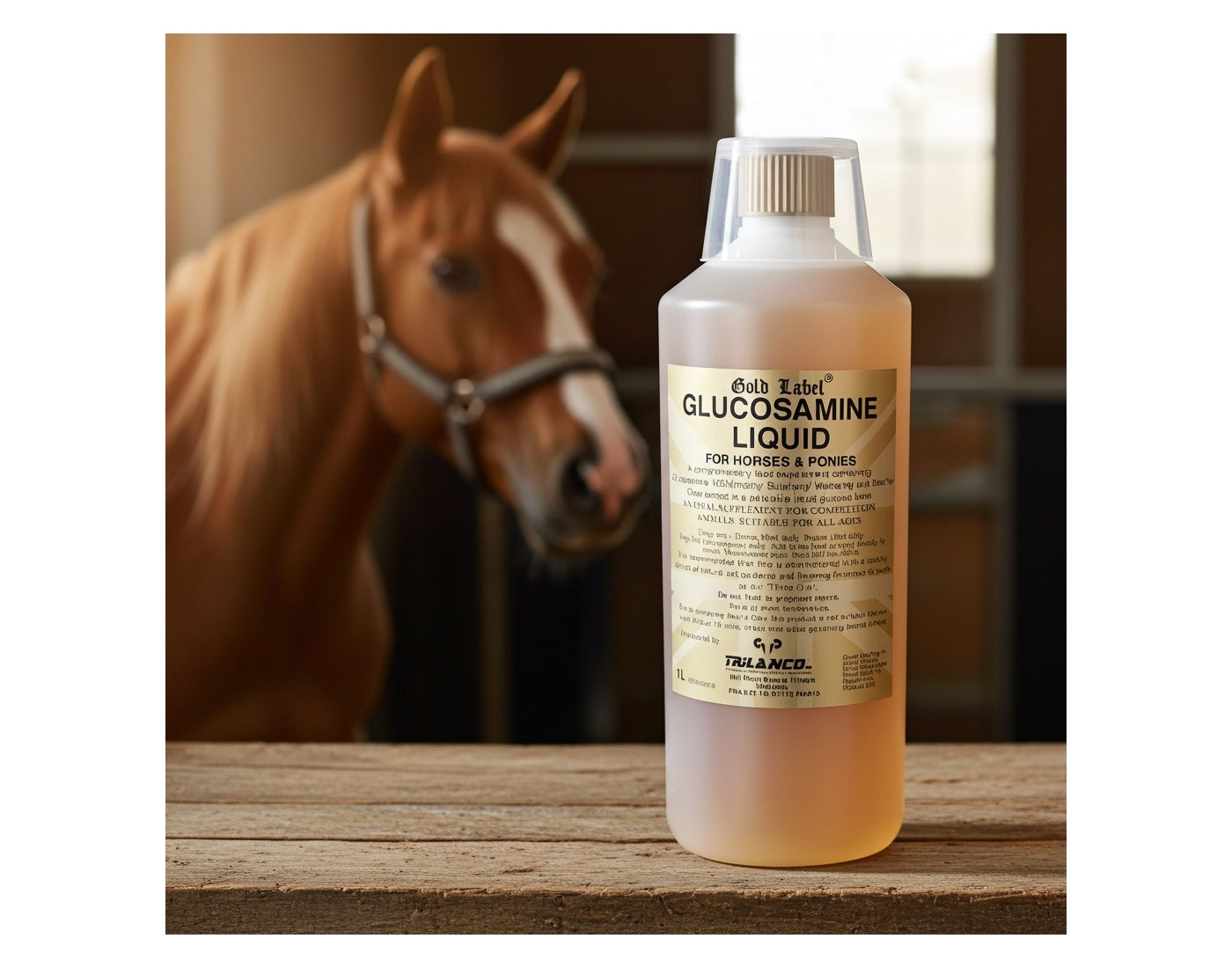 Gold Label Glucosamine Liquid | Joint Care for Horses & Dogs - Buy Online SPR Centre UK