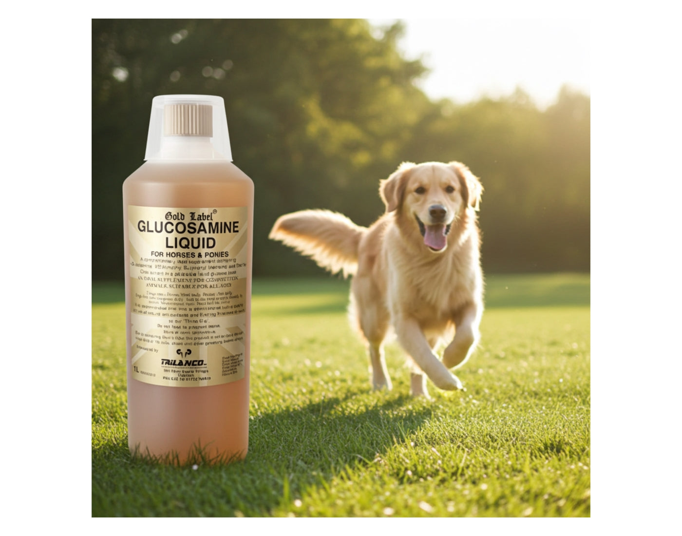 Gold Label Glucosamine Liquid | Joint Care for Horses & Dogs - Buy Online SPR Centre UK
