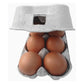 Fibre Egg Boxes - Layer of 3 Boxes - Buy Online SPR Centre UK