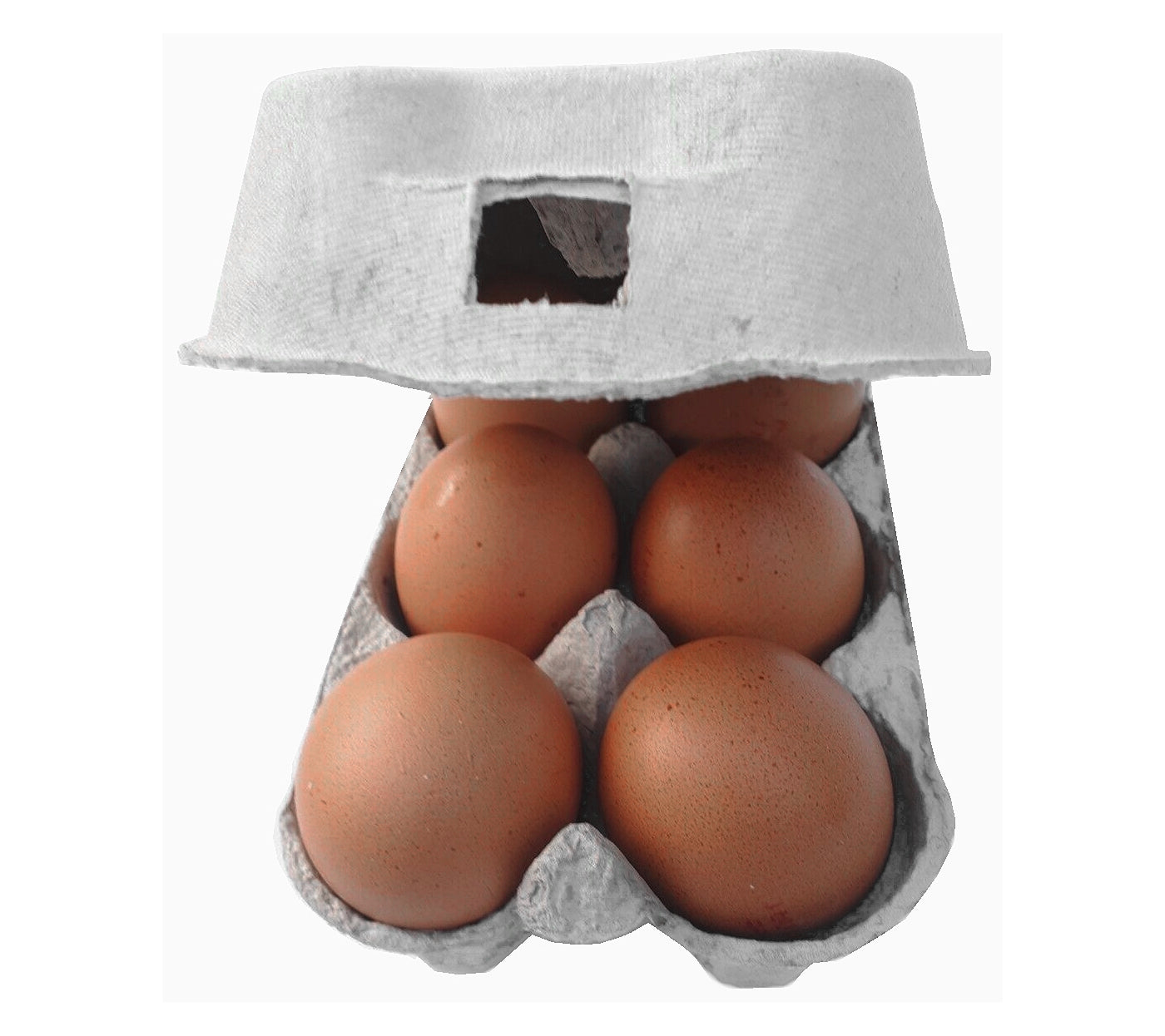 Fibre Egg Boxes - Bulk Pack - 462 Egg Boxes (231 Dozen Eggs)