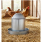 Heritage - ½ Gallon Galvanised Poultry Drinker - Buy Online SPR Centre UK