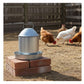 Heritage - ½ Gallon Galvanised Poultry Drinker - Buy Online SPR Centre UK