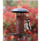 Henry Bell - Heavy Duty Peanut Feeder - Buy Online SPR Centre UK