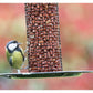 Henry Bell - Heavy Duty Peanut Feeder - Buy Online SPR Centre UK