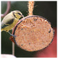 Henry Bell - Suet Berry Coconut Half | Wild Bird Food - Buy Online SPR Centre UK