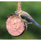 Henry Bell - Suet Berry Coconut Half | Wild Bird Food - Buy Online SPR Centre UK