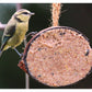 Henry Bell - Suet Berry Coconut Half | Wild Bird Food - Buy Online SPR Centre UK