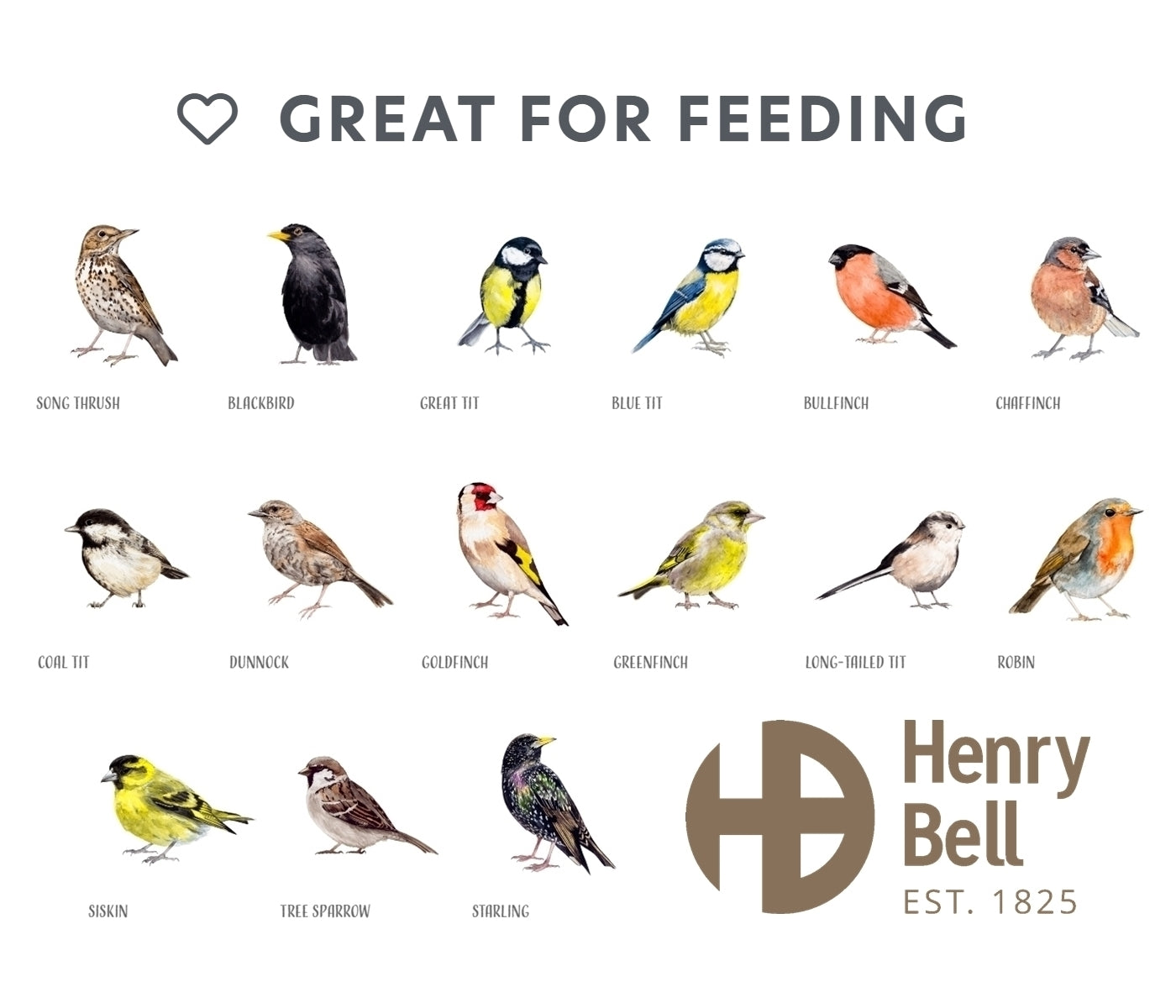Henry Bell - Suet Berry Bites - Buy Online SPR Centre UK