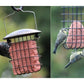 Henry Bell - Suet Cake Variety Pack 10 x 300g | Wild Bird Care - Buy Online SPR Centre UK