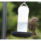 Henry Bell - Wild Bird Water Drinker - Buy Online SPR Centre UK