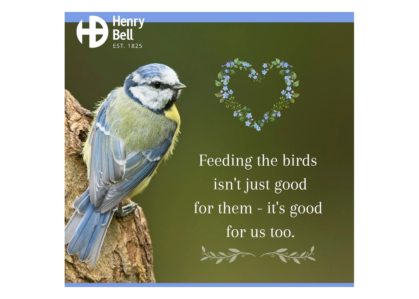 Henry Bell - Insect Oil Candle 500g - Buy Online SPR Centre UK