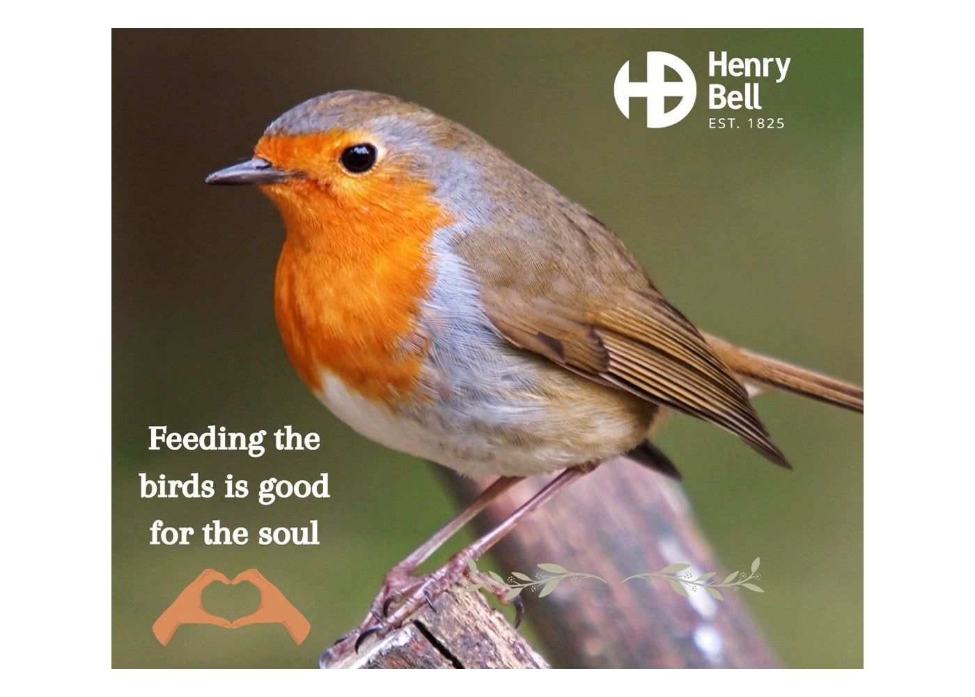 Henry Bell - Insect Oil Candle 500g - Buy Online SPR Centre UK