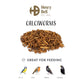 Henry Bell Calciworms 500g | Wild Bird Care - Buy Online SPR Centre UK