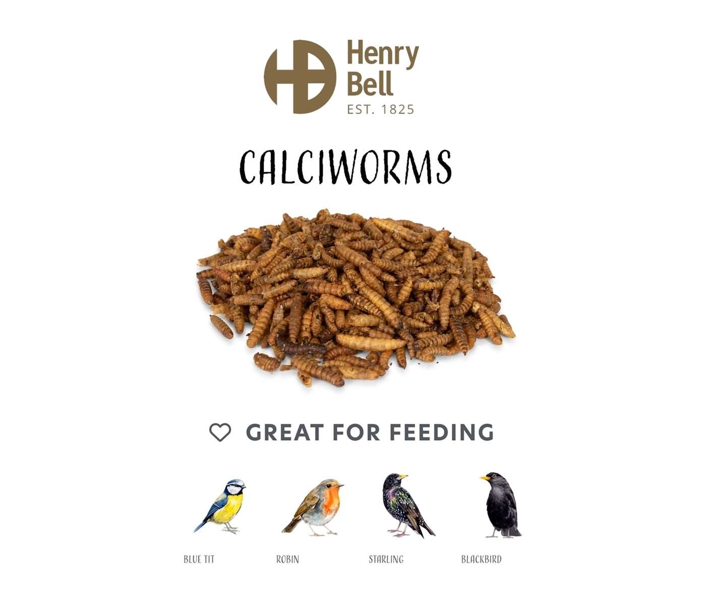 Henry Bell Calciworms 500g | Wild Bird Care - Buy Online SPR Centre UK
