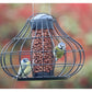 Henry Bell - Essential Squirrel Resistant Peanut Feeder *Special Offer* - Buy Online SPR Centre UK