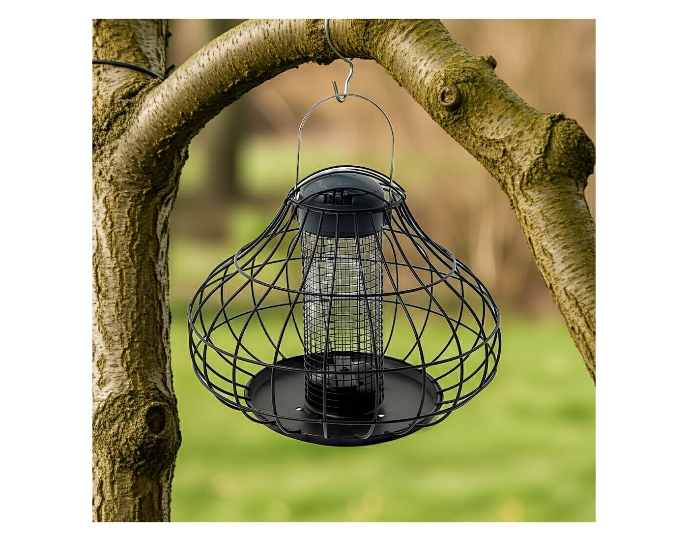 Henry Bell - Essential Squirrel Resistant Peanut Feeder *Special Offer* - Buy Online SPR Centre UK