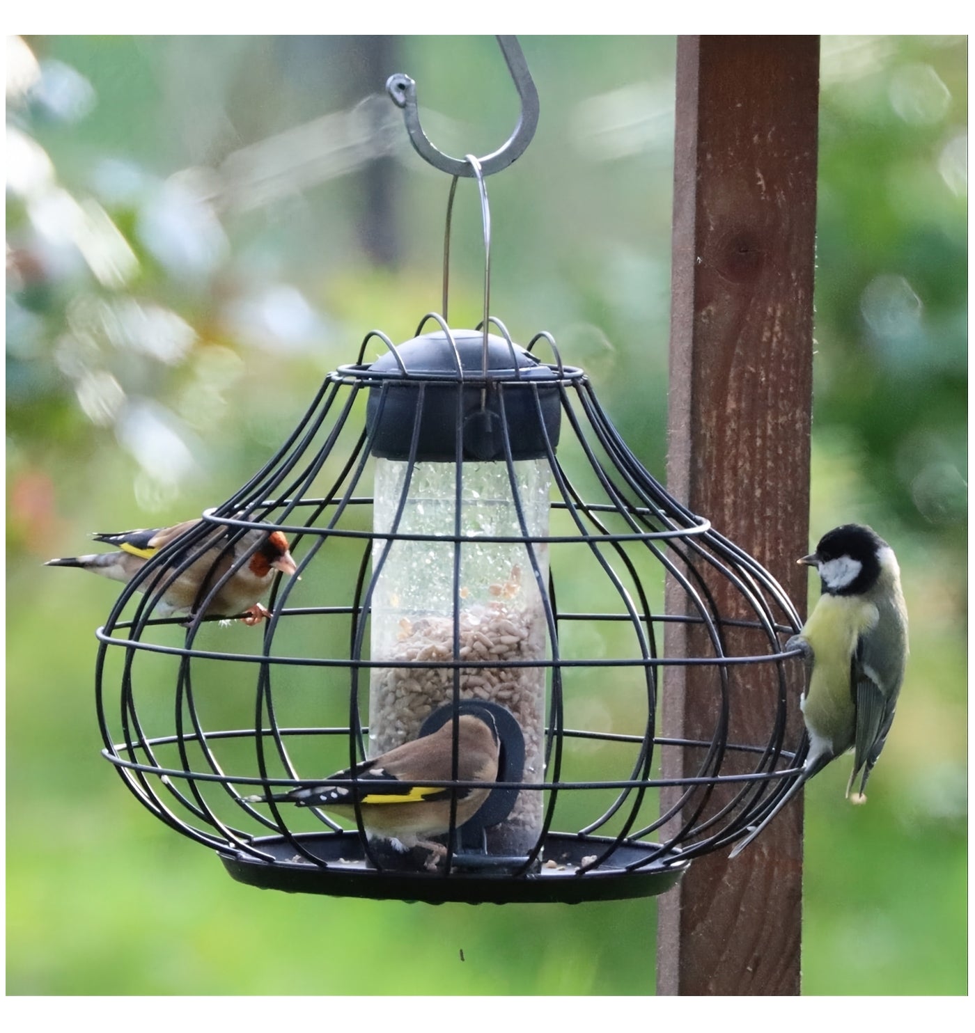 Henry Bell - Essential Squirrel Resistant Seed Feeder *Special Offer* - Buy Online SPR Centre UK