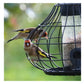 Henry Bell - Essential Squirrel Resistant Seed Feeder *Special Offer* - Buy Online SPR Centre UK