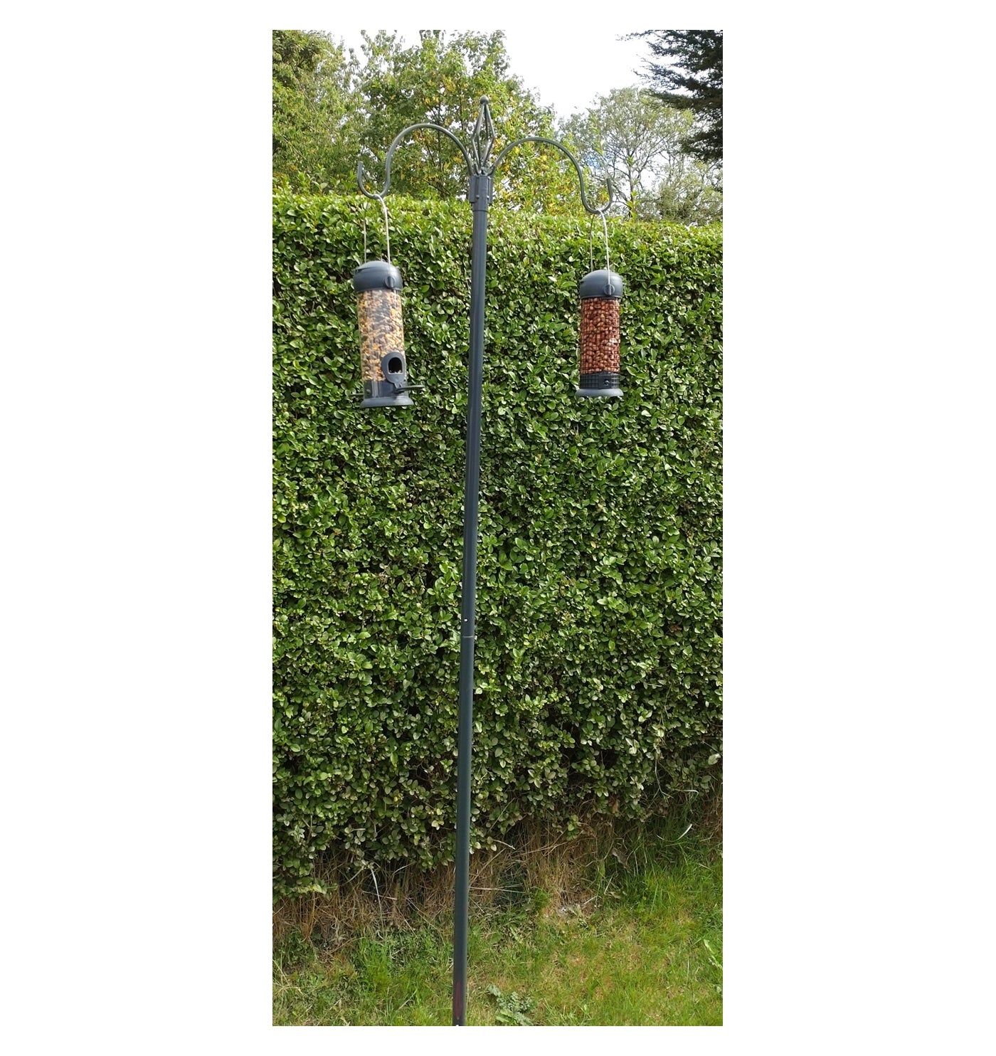 Henry Bell - Two Arm Bird Feeding Station - Buy Online SPR Centre UK
