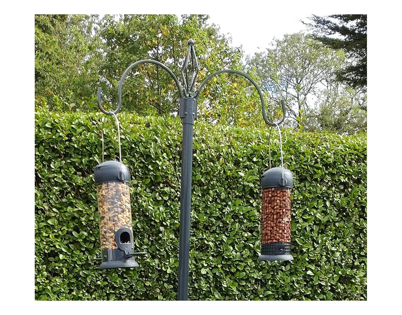 Henry Bell - Two Arm Bird Feeding Station - Buy Online SPR Centre UK
