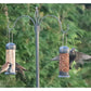 Henry Bell - Two Arm Bird Feeding Station - Buy Online SPR Centre UK