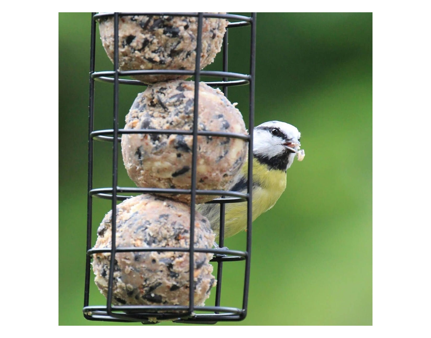 Henry Bell - Fat Balls (25 Pack) - Buy Online SPR Centre UK