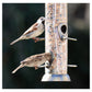 Henry Bell - Grand Sterling Seed Feeder - Buy Online SPR Centre UK