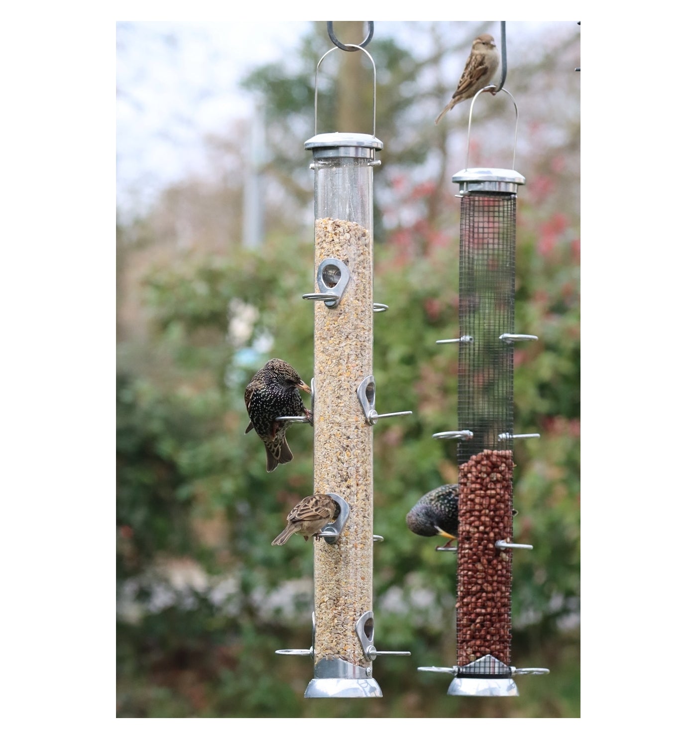 Henry Bell - Grand Sterling Seed Feeder - Buy Online SPR Centre UK