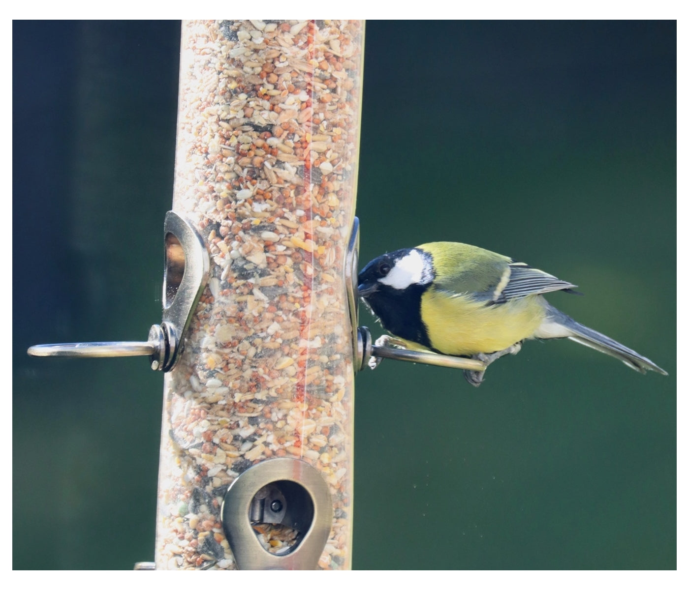 Henry Bell - Grand Sterling Seed Feeder - Buy Online SPR Centre UK