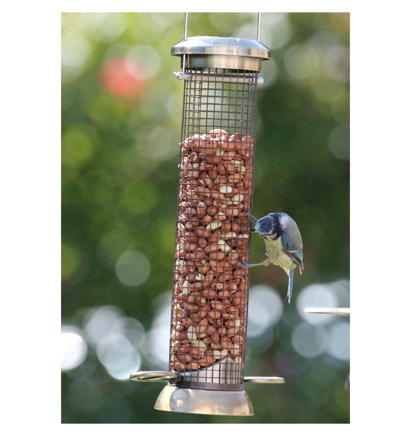 Henry Bell - Heritage Peanut Feeder - Buy Online SPR Centre UK