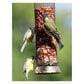Henry Bell - Heritage Peanut Feeder - Buy Online SPR Centre UK