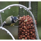 Henry Bell - Heritage Peanut Feeder - Buy Online SPR Centre UK