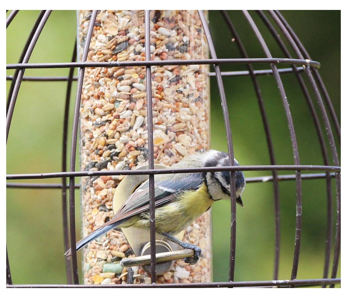 Henry Bell - Heritage Squirrel Proof Seed Feeder - Buy Online SPR Centre UK